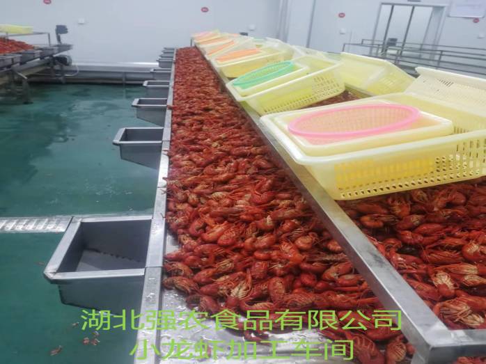 �ھ�����CMP��(�й�)����