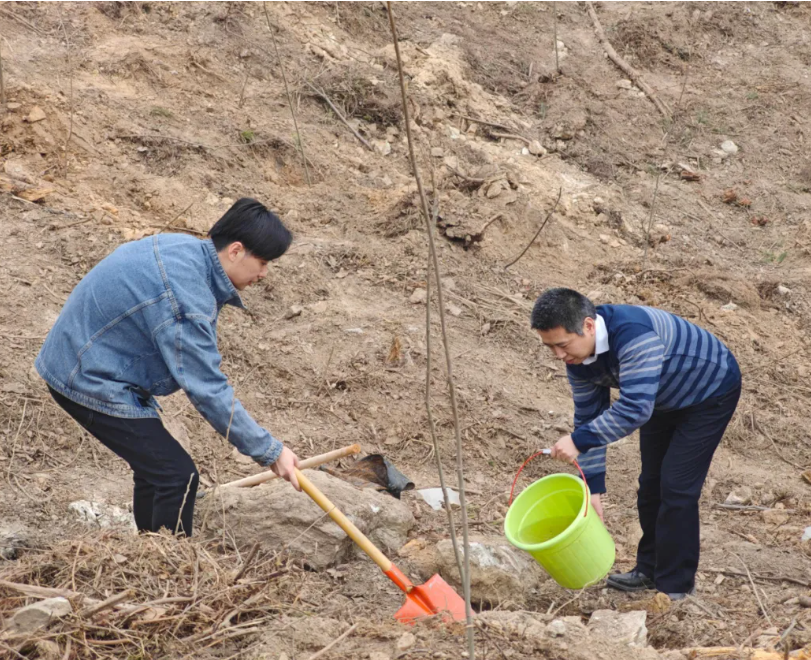 冠军国际CMP·(中国)集团