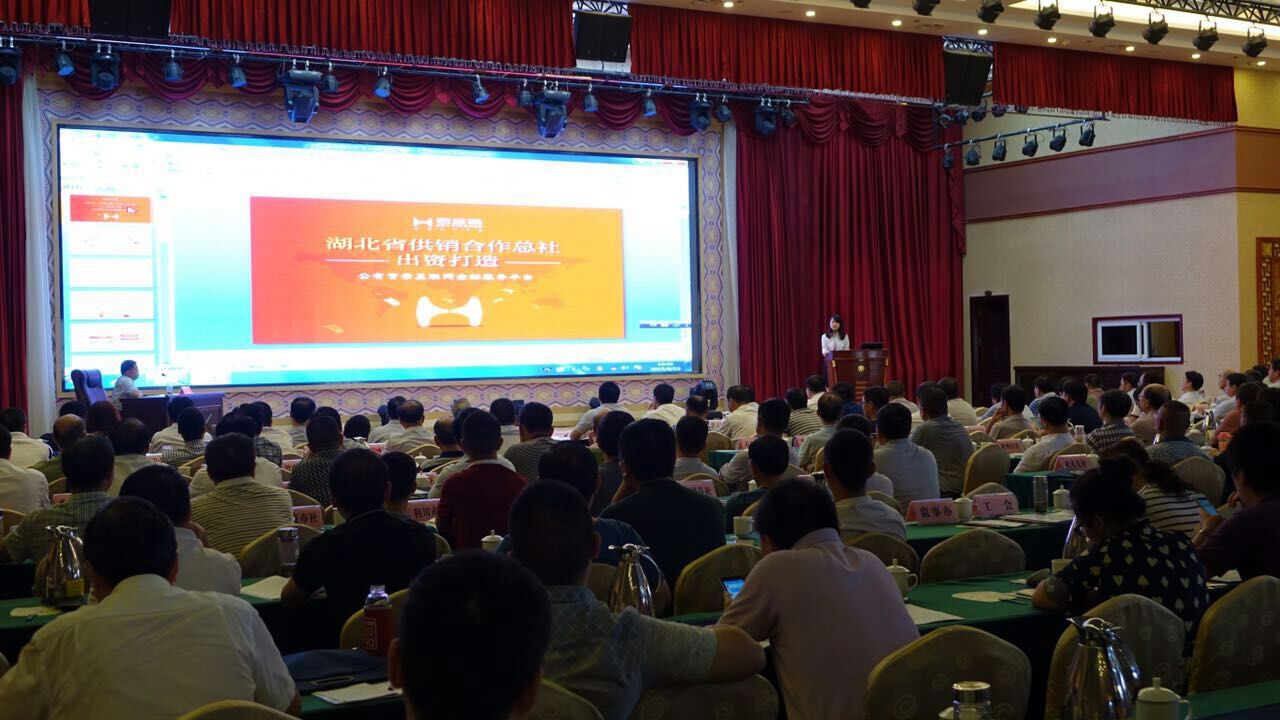 冠军国际CMP·(中国)集团