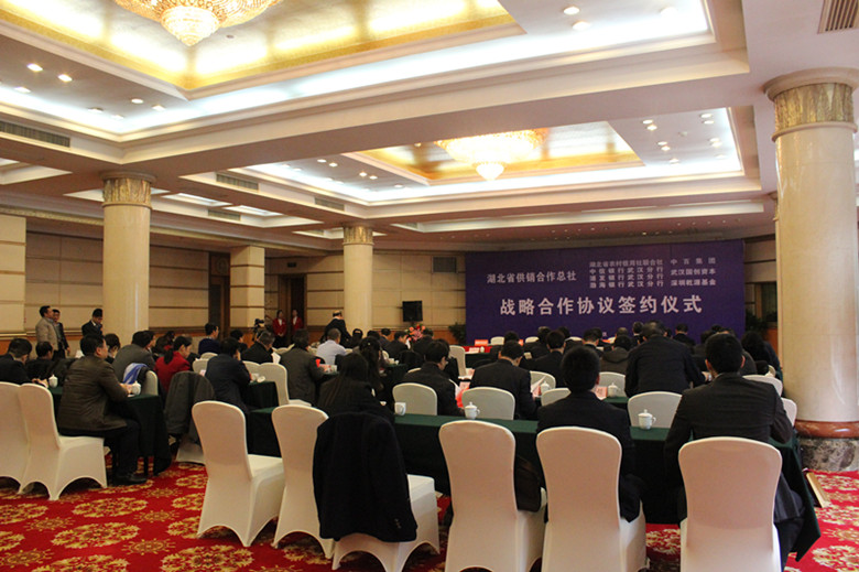 �ھ�����CMP��(�й�)����